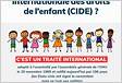 INSTITUT INTERNATIONAL DES DROITS DE LENFANT ID
